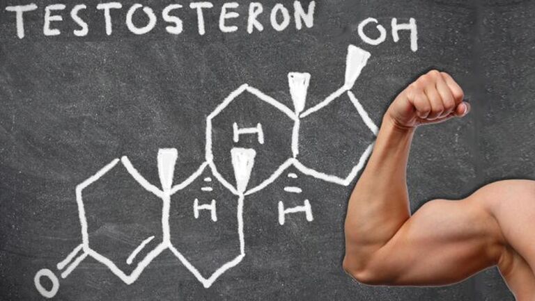 Testosterone is the main male sex hormone